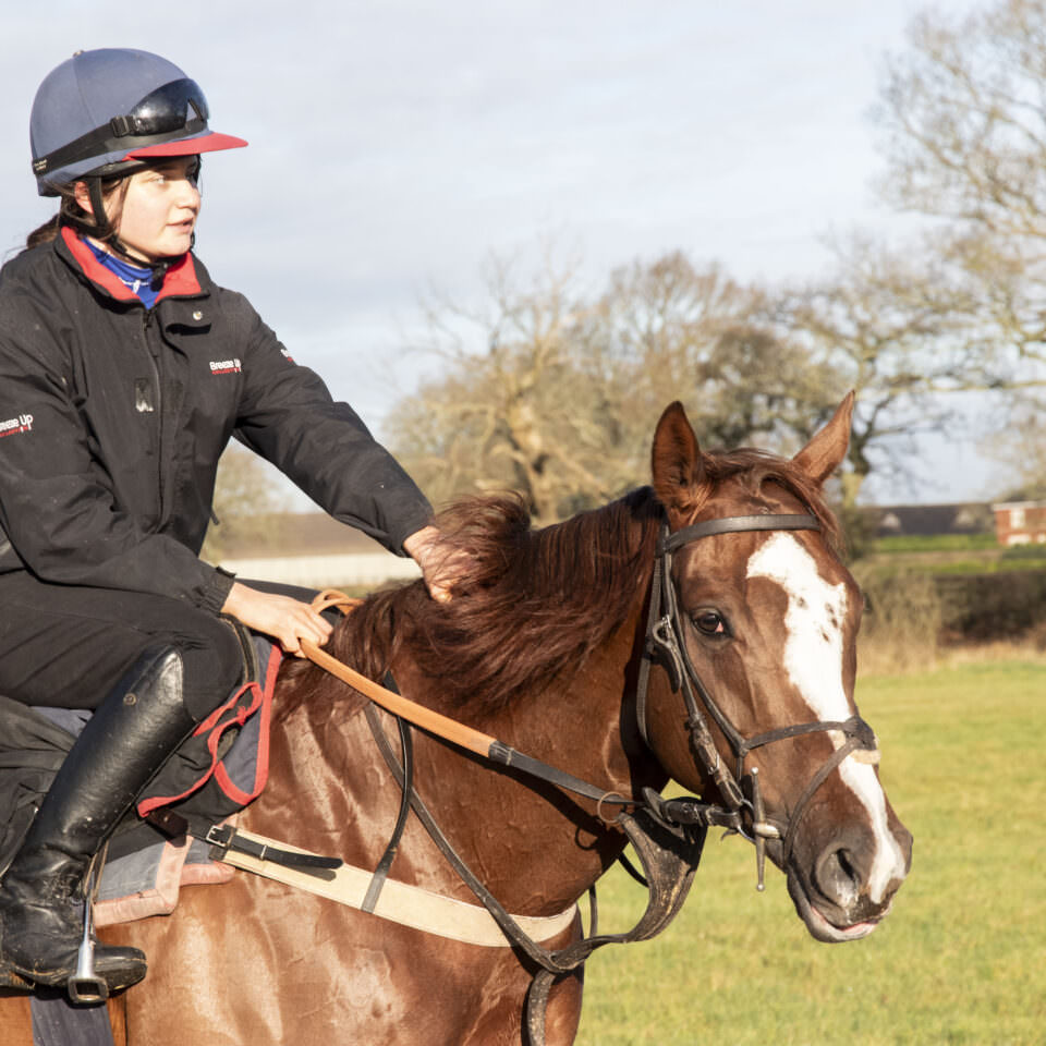 Horses in Training – Ian Williams Racing