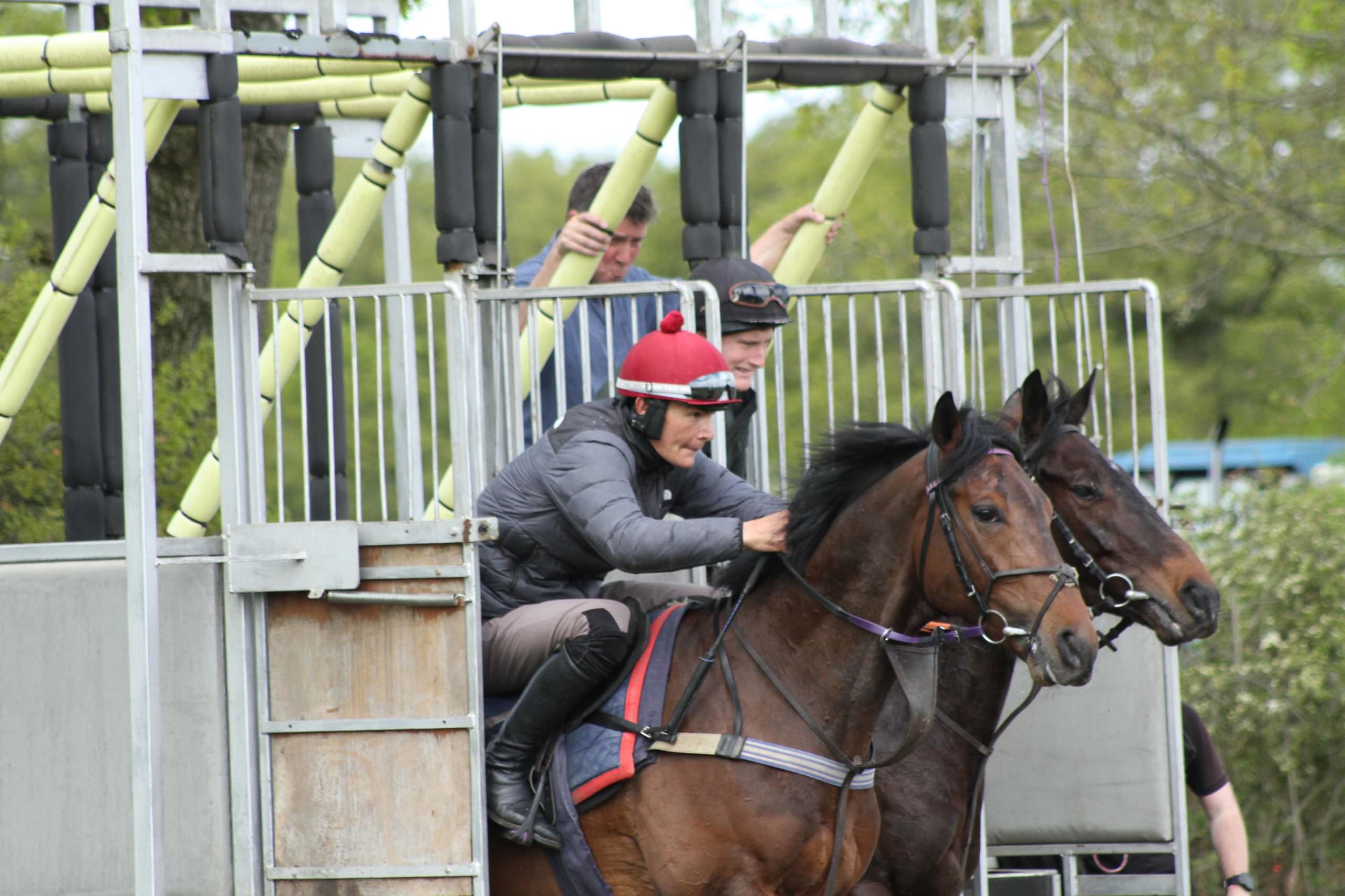 Stalls initiation - Ian Williams Racing