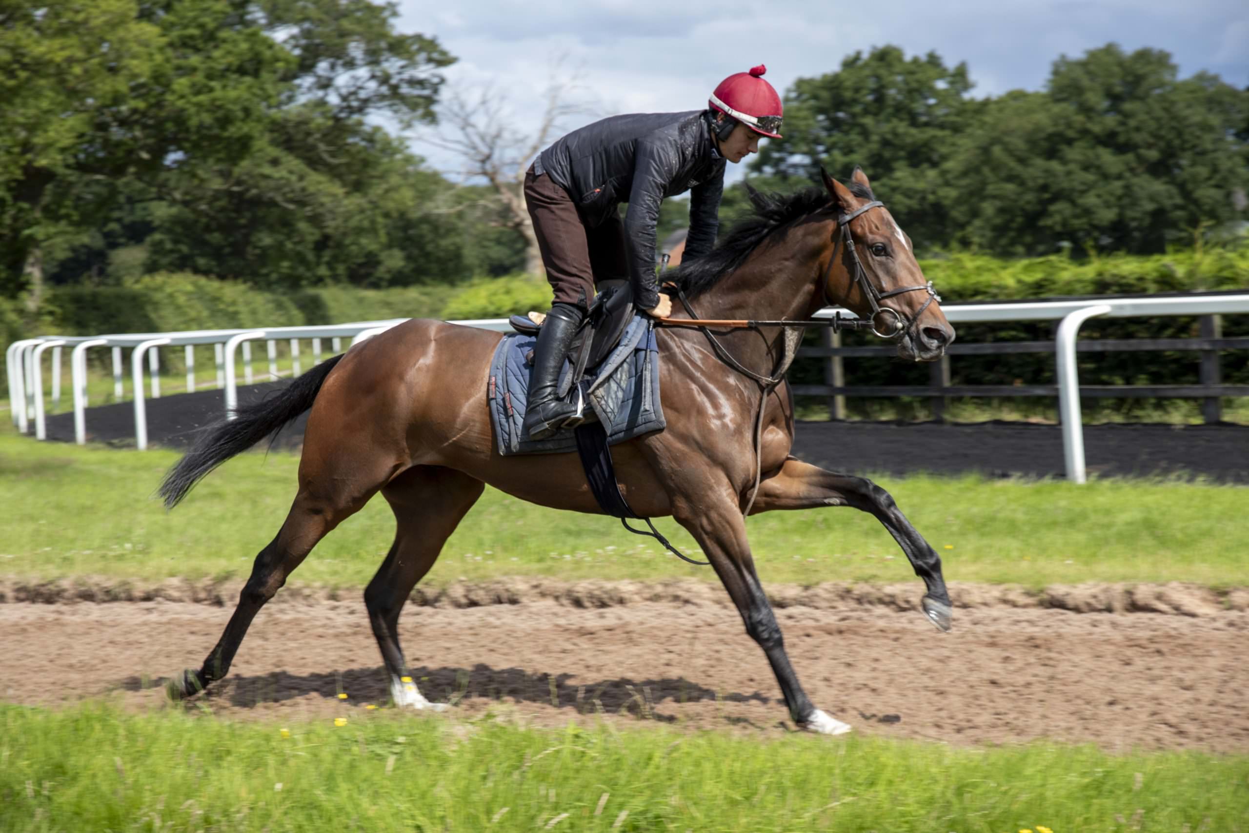 Beylerbeyi – Ian Williams Racing