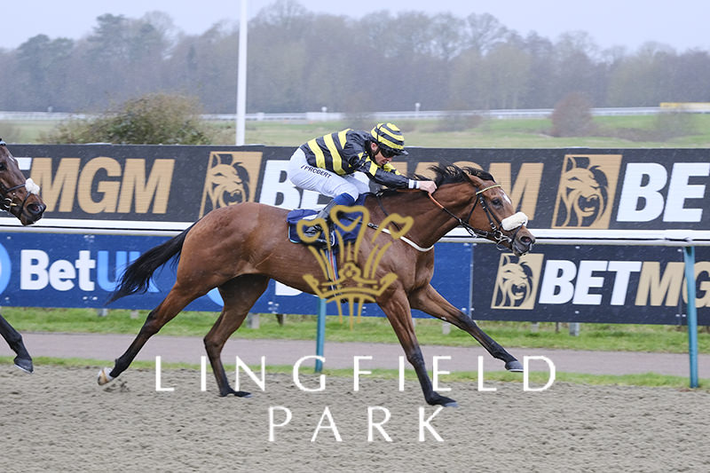 Maysan wins at Lingfield - Ian Williams Racing