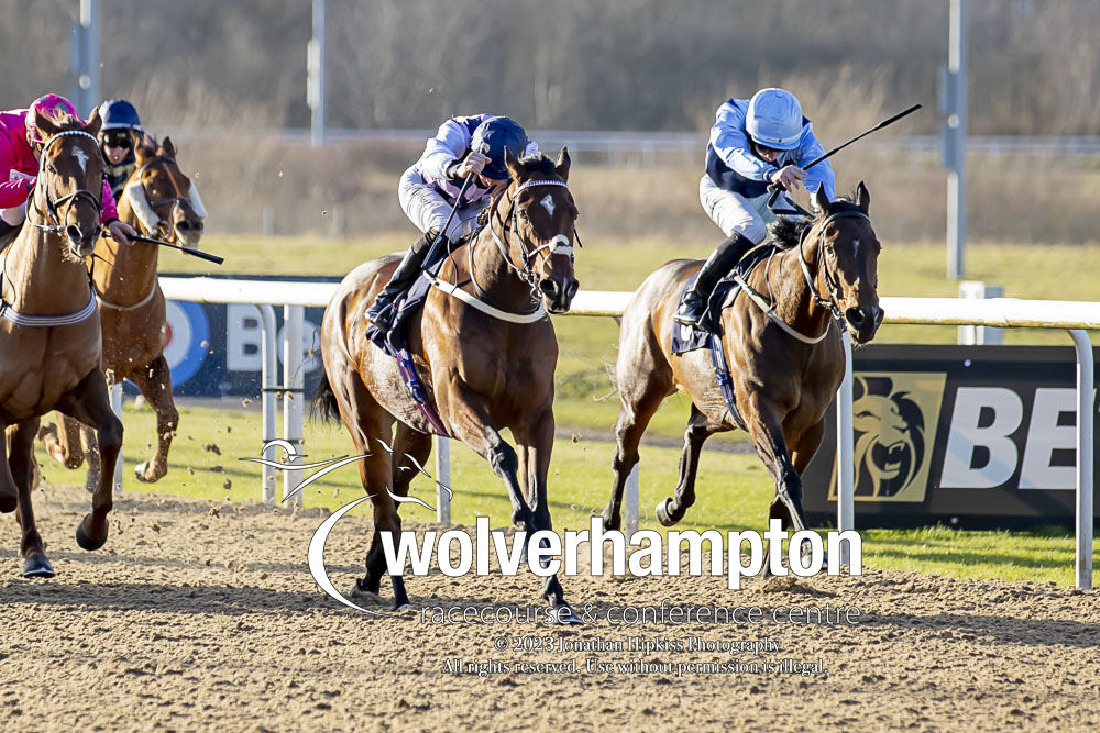 Beauzon wins at Wolverhampton - Ian Williams Racing