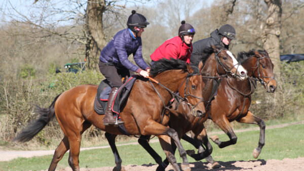 April morning work - Ian Williams Racing