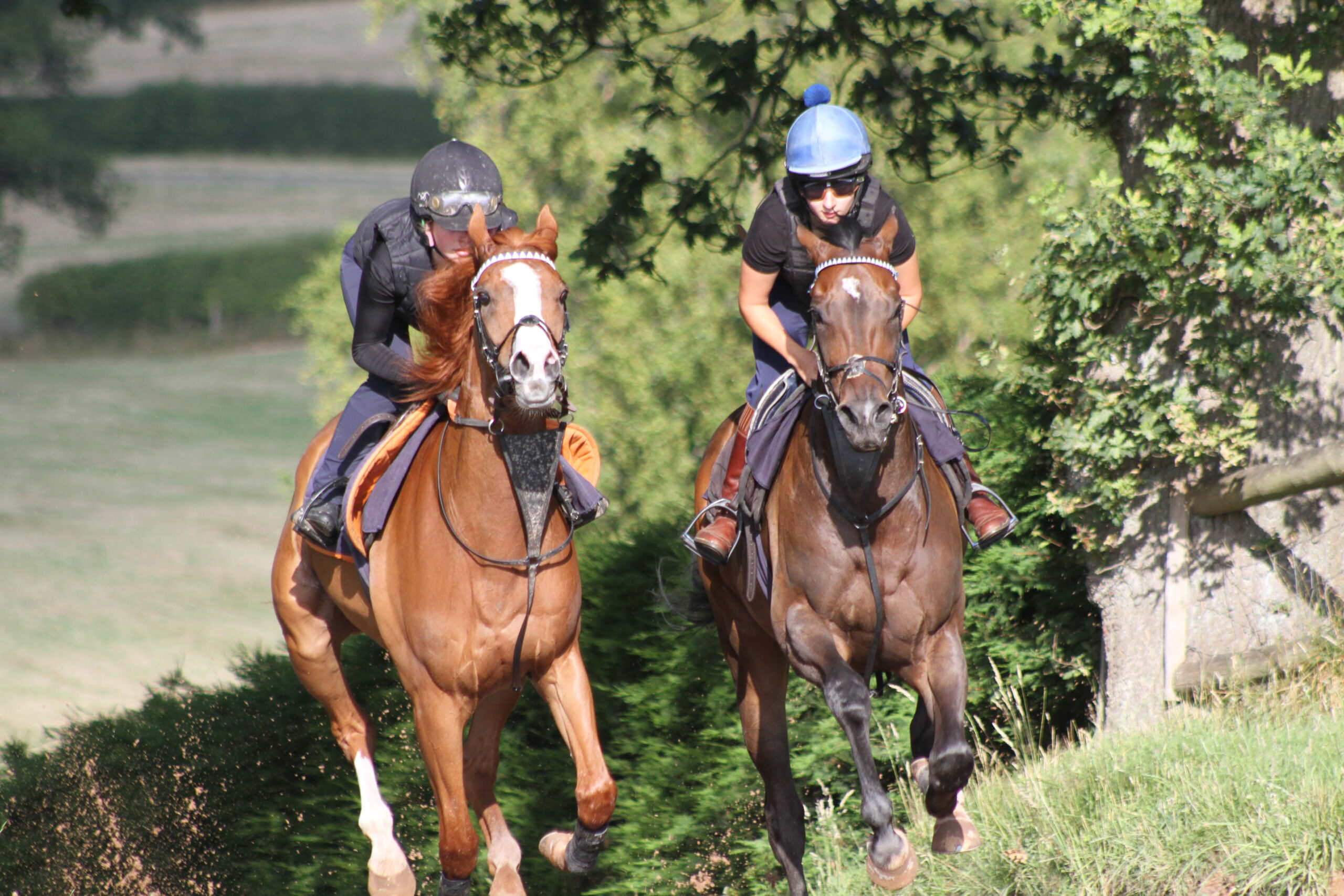 The Yard – Ian Williams Racing